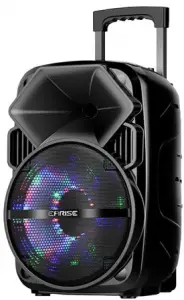 EARISE Bluetooth PA Speaker System