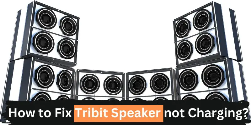 how-to-fix-tribit-speaker-not-charging-speakersavy